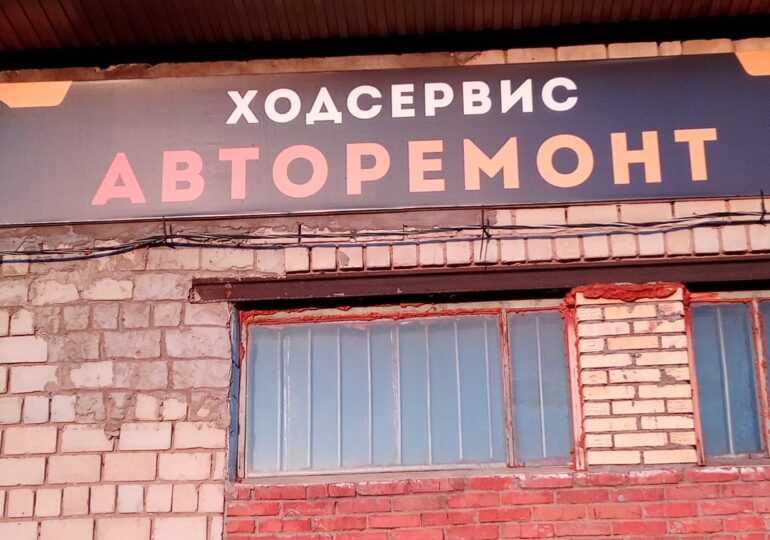 От увлечения – к своему делу