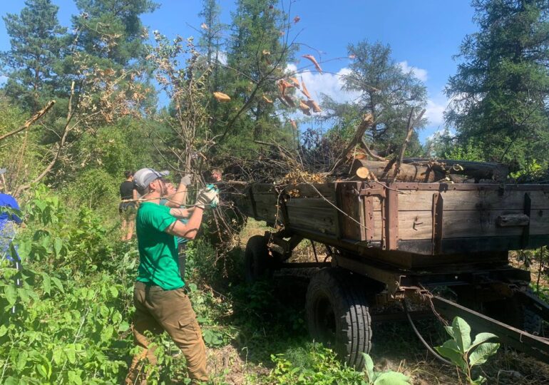 В Дендросаде Бузулукского бора готовят новый маршрут для посетителей