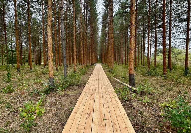 В Дендросаду Бузлулукского бора обустраивают новую тропу для прогулок