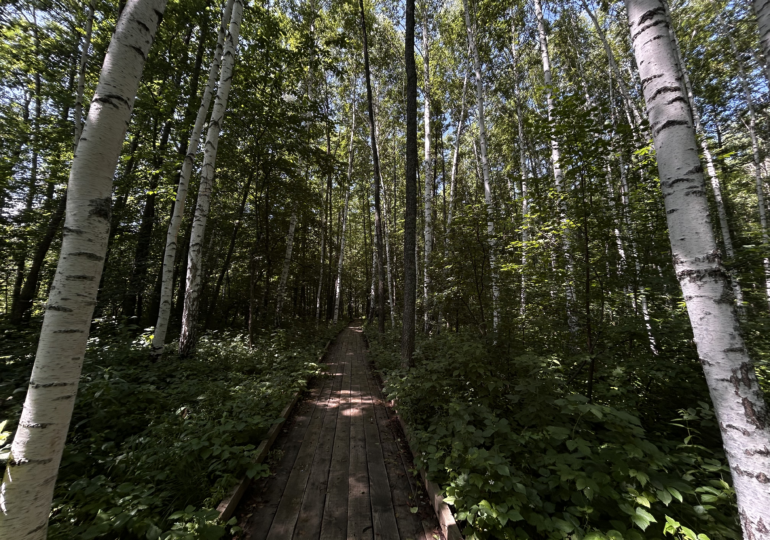 «Бузулукский бор» вошёл в десятку самых популярных природных территорий страны