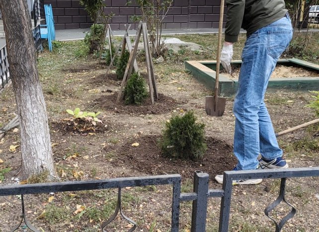 В Оренбуржье стартует «народное голосование» конкурса «Лучший дом. Лучший двор»