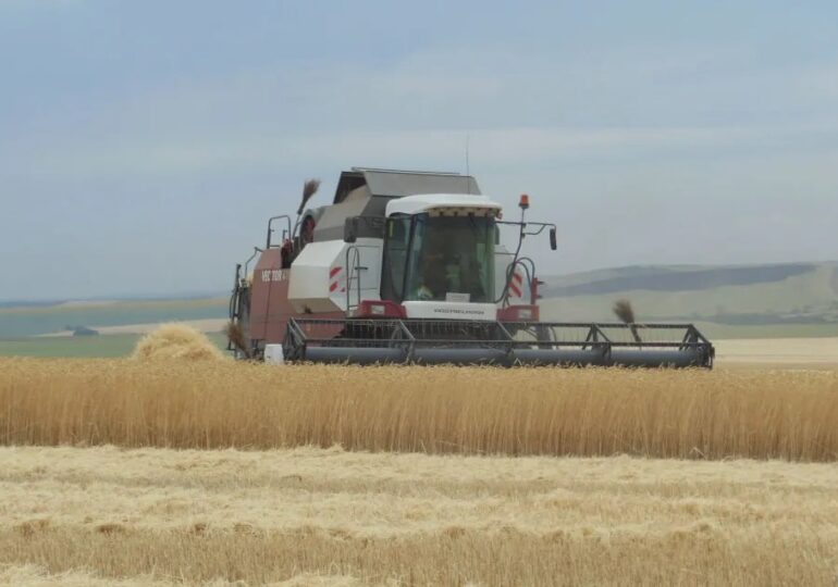 В бюджете Оренбургской области на 2026 год увеличат средства на поддержку малого агробизнеса