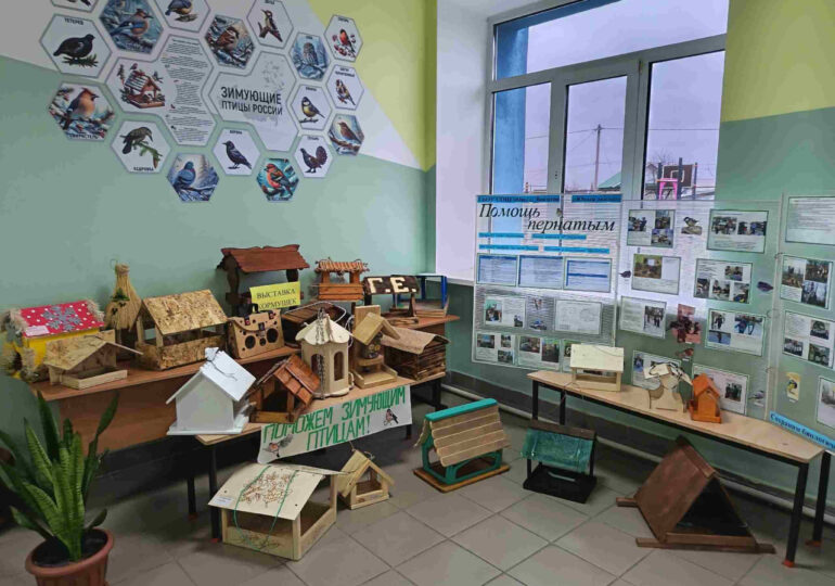 Ученики Богатовской школы изготовили более 50 кормушек для птиц