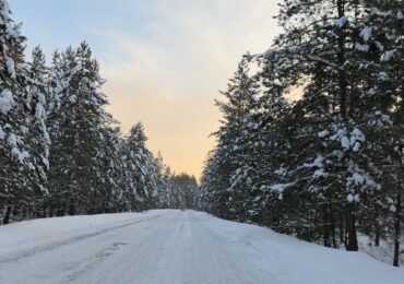 Бузулукский бор стал точкой притяжения во время новогодних каникул