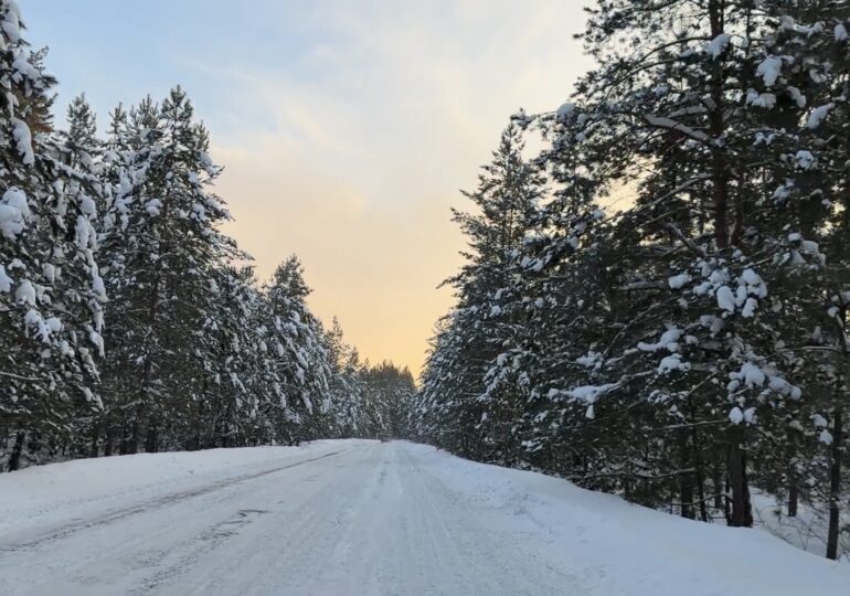 Бузулукский бор стал точкой притяжения во время новогодних каникул