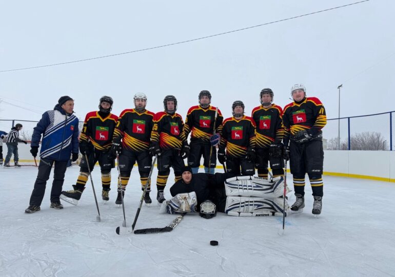 В посёлке Красногвардеец на обновлённом хоккейном корте прошёл турнир памяти Максима Мельникова, участника СВО