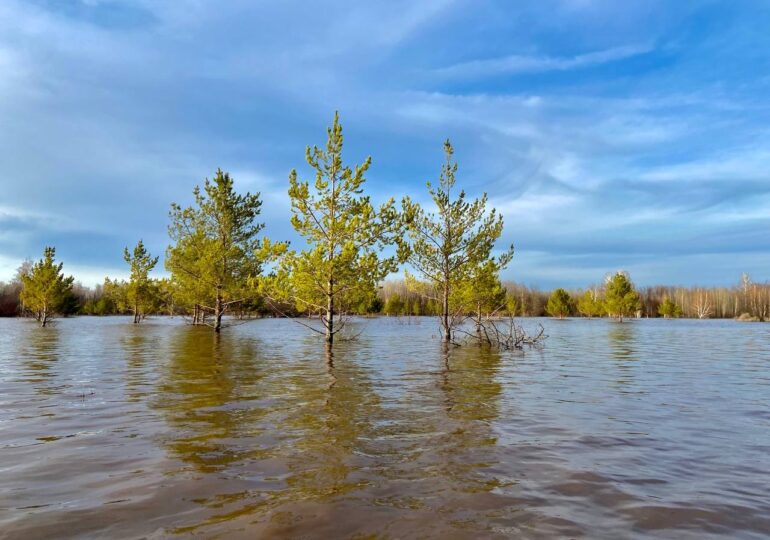 В Бузулуке уровень воды в реке Самара вырос на 96 сантиметров