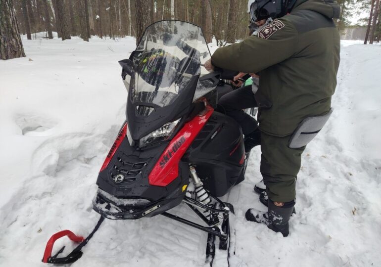 Госинспекторы продолжают патрулировать Бузулукский бор