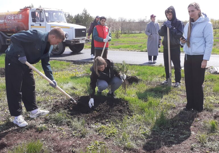 В Бузулуке в парке Пушкина высадили сосны в рамках акции «Зелёная страна» ко Дню Победы