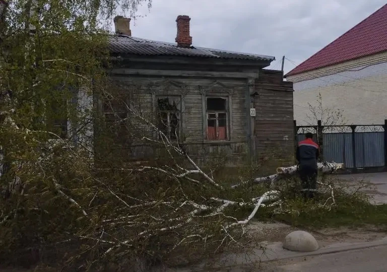 В Бузулуке сильный ветер повалил деревья и остановочные павильоны