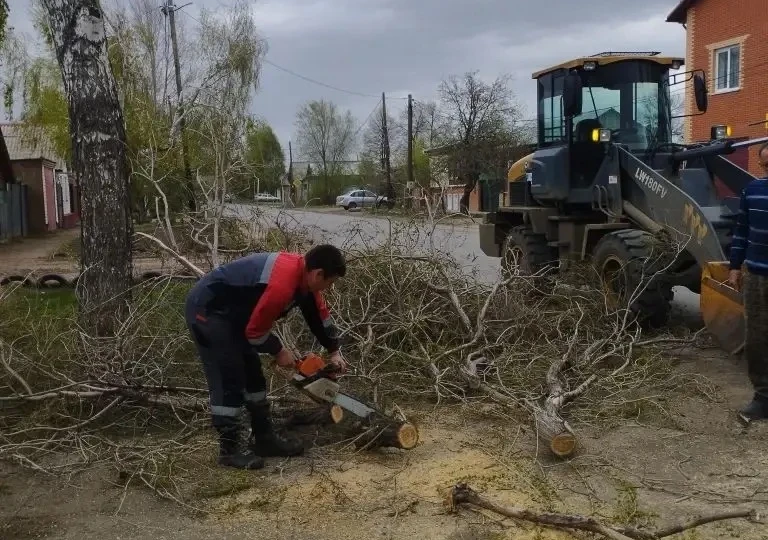 В Бузулуке за один день штормовой ветер повредил 12 деревьев и повалил 2 остановки
