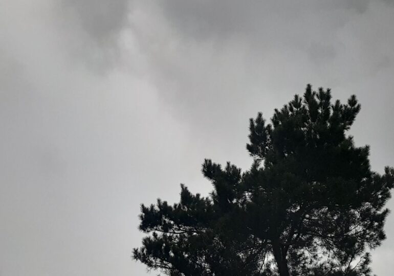 3 апреля погода в регионе испортится. Оренбуржцев предупредили о сильном дожде