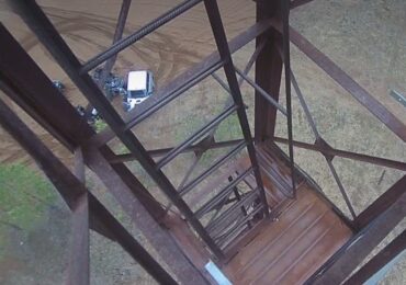 В Бузулукском бору камеры помогают выявлять нарушителей на особо охраняемой территории