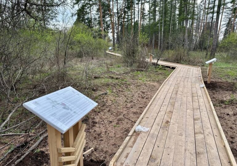 В Дендросаду Бузулукского бора продолжают обустраивать новую экотропу