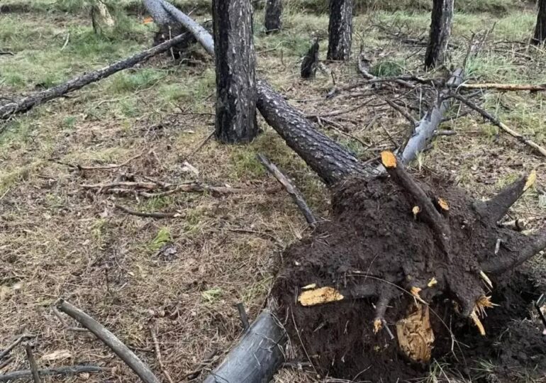 В Оренбургской области при выполнении работ погиб электромонтёр