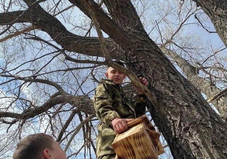 В Бузулукском бору школьники развесили скворечники