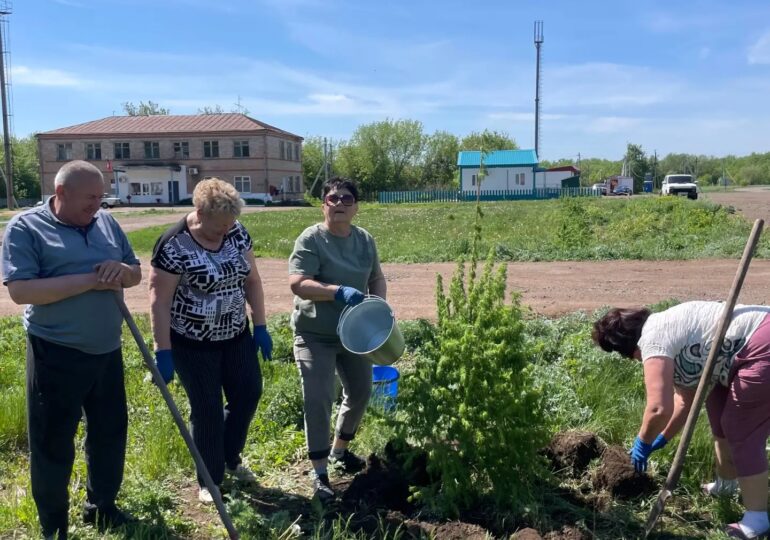 В Бузулукском районе завершилась акция «Сад — связь поколений»