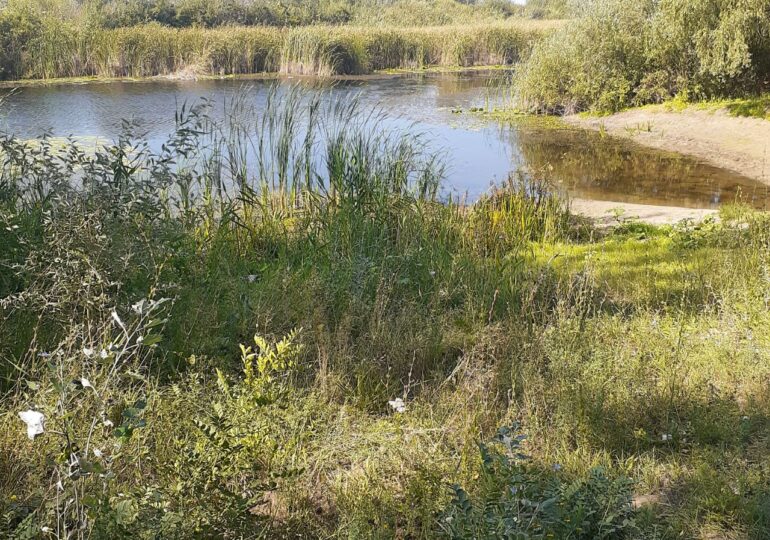 В Оренбуржье утонул 34-летний мужчина