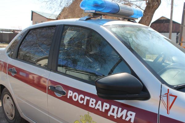 В Бузулуке росгвардейцы задержали пьяного водителя