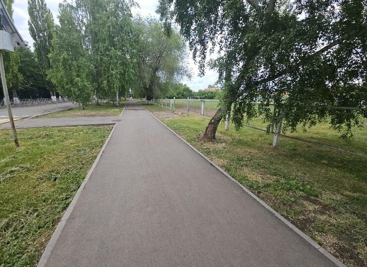В Бузулуке после обращения жителей скосили траву на улице Галактионова
