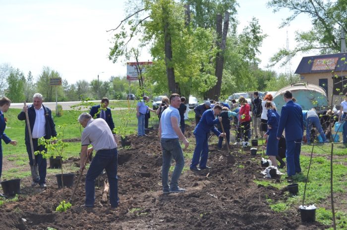 В Сакмаре заложена липовая аллея