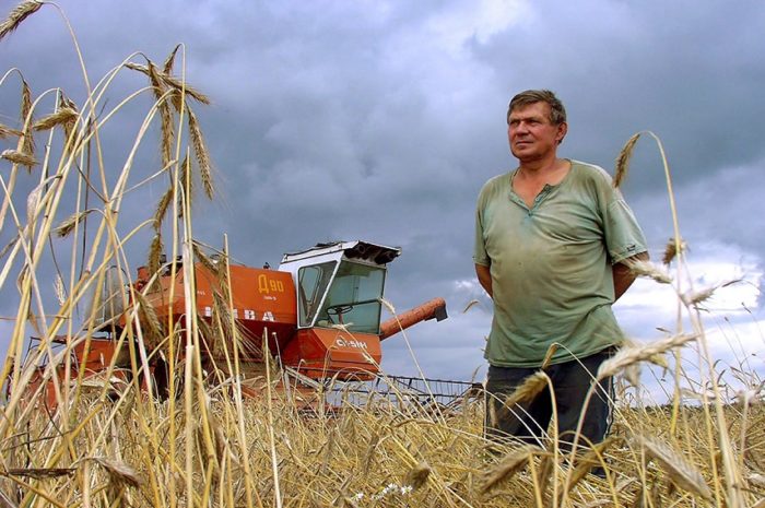 Среднемесячная зарплата оренбургских аграриев увеличилась на 23 процента