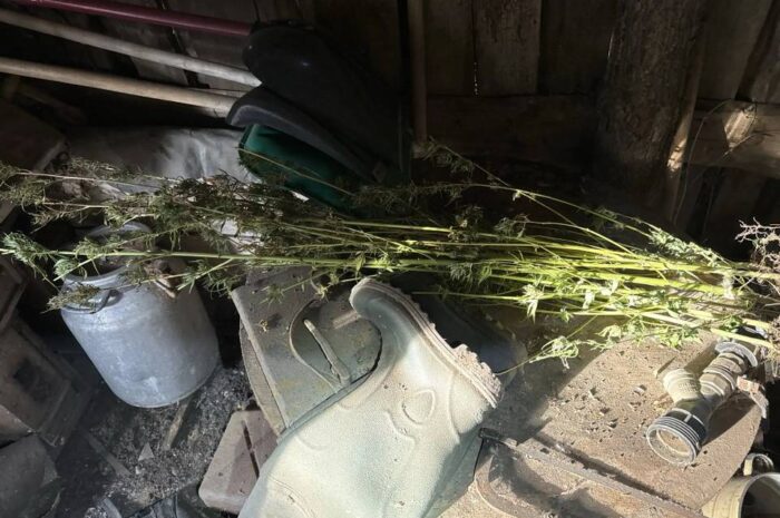 В Сакмарском районе задержан мужчина с 300 граммами растительных наркотиков