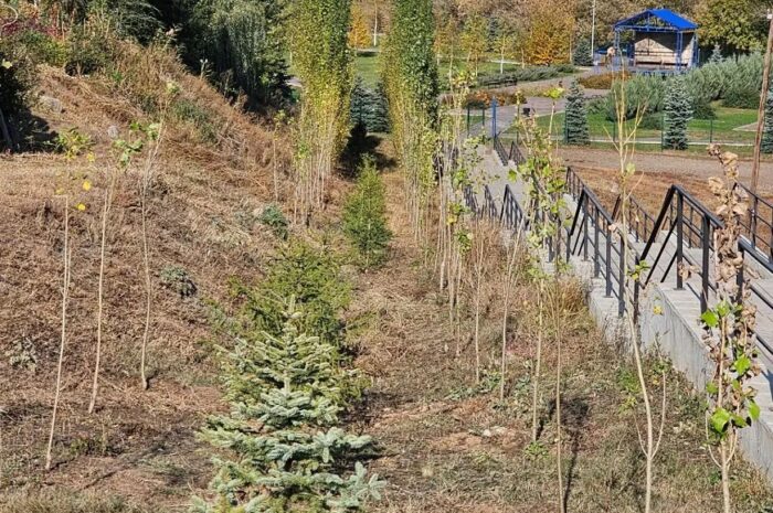 В Татарской Каргале продолжаются работы по благоустройству села