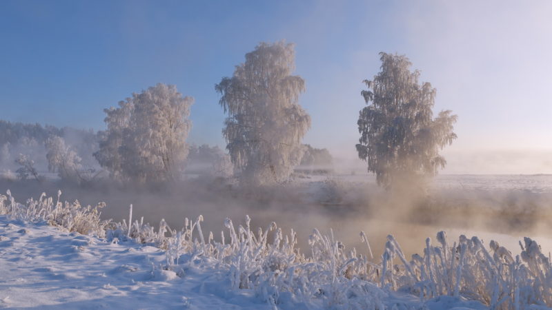 В Сорочинске 21 января ожидается ясная погода и до -12°