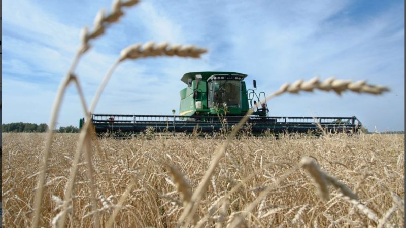 Оренбуржье лидерует в ПФО по росту производства сельхозпродукции