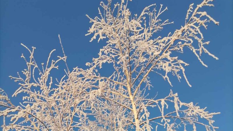 В Сорочинске 29 января ожидается  переменная облачность и до -12°