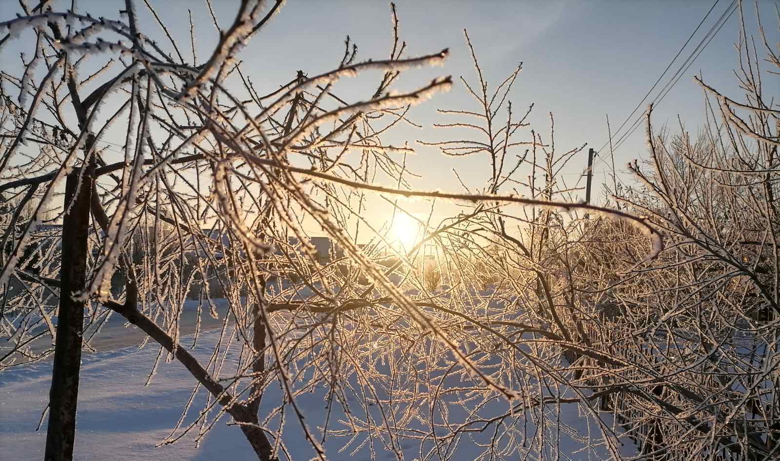 Что планируется в феврале