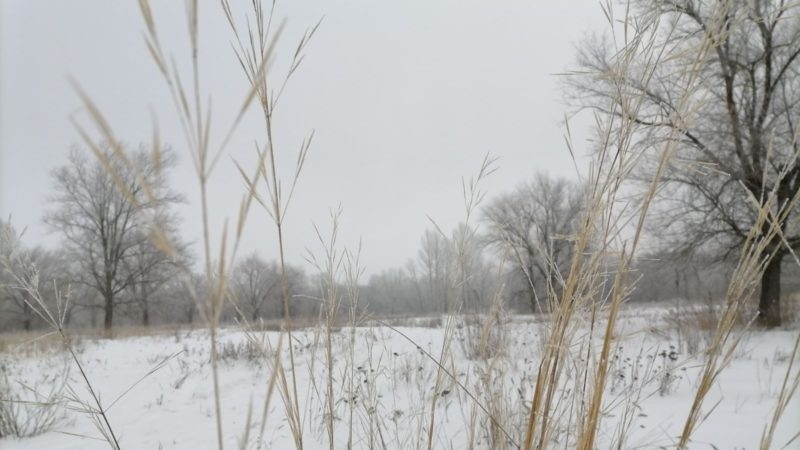 В Сорочинске 15 февраля ожидается  небольшой снег и до -5°