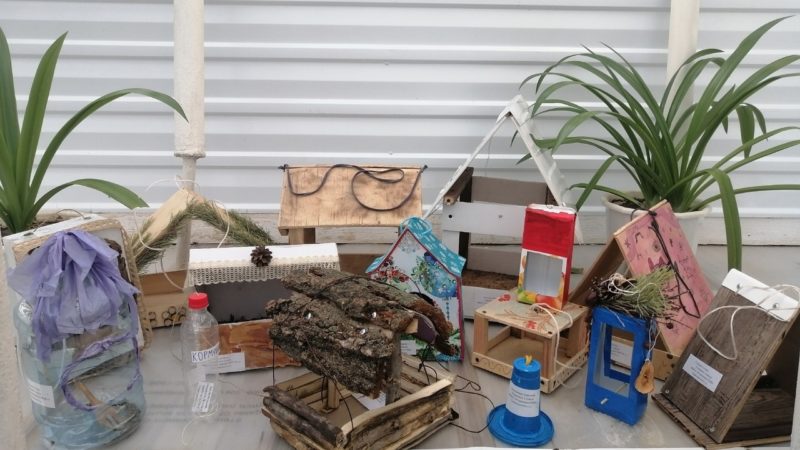 В Сорочинске прошел муниципальный этап конкурса “Хранители пернатых”