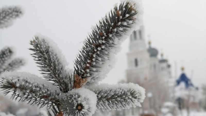 В Сорочинске 2 февраля ожидается  переменная облачность и до -8°