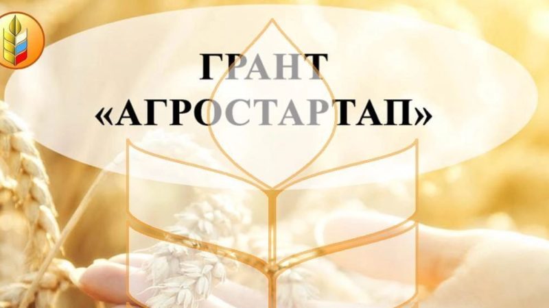 Сорочинские фермеры получили  государственную поддержку на развитие