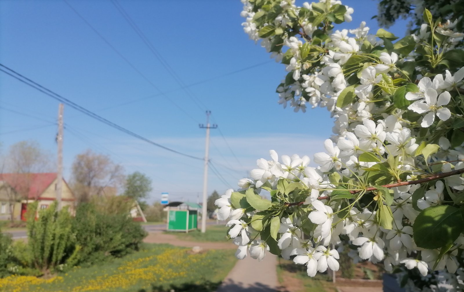 Сорочинск погода на день