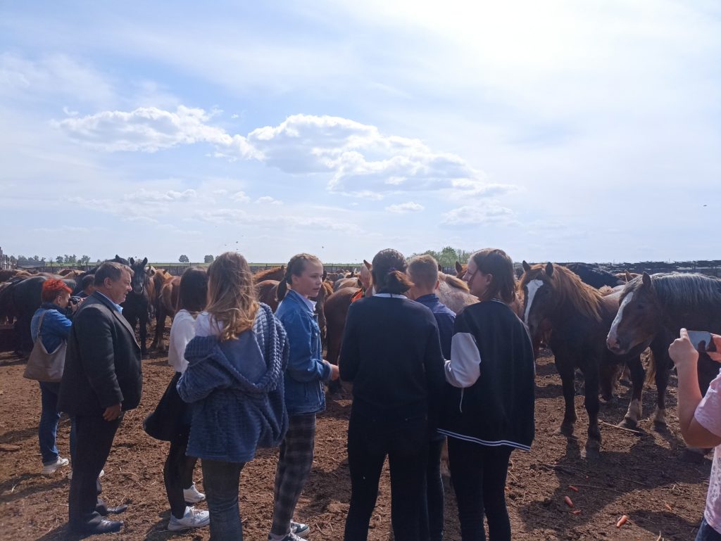 В Сорочинске прошел День службы занятости | 19.05.2023 | Новости Сорочинска  - БезФормата