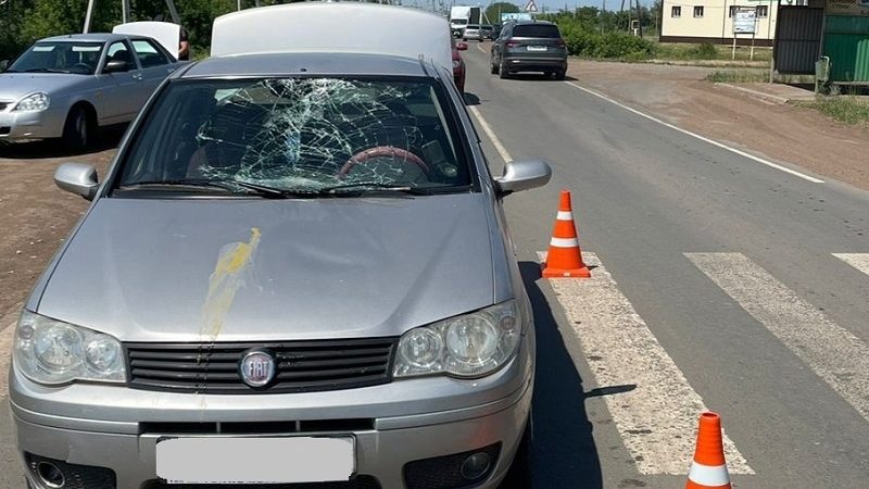 Госавтоинспекторы Сорочинского  округа устанавливают обстоятельства ДТП, в результате которого пострадал пешеход