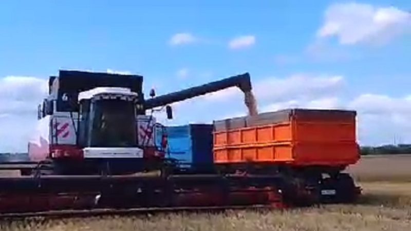 На полях Сорочинского округа началась уборка озимых культур