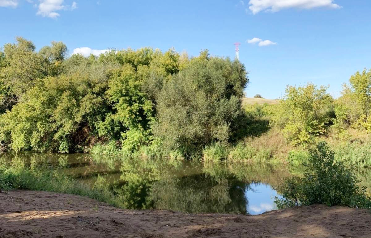 Погода в сорочинске