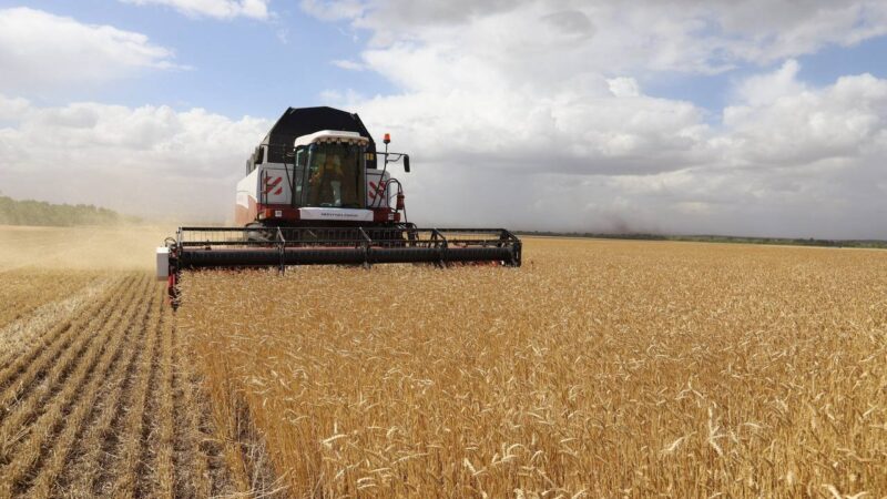 Оренбургские хлеборобы собрали 4 миллиона тонн зерна