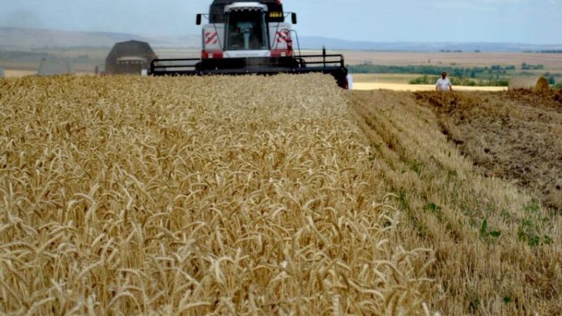 Татьяна Мелентьева поздравила сорочинских тружеников и  ветеранов сельского хозяйства и перерабатывающей промышленности с праздником