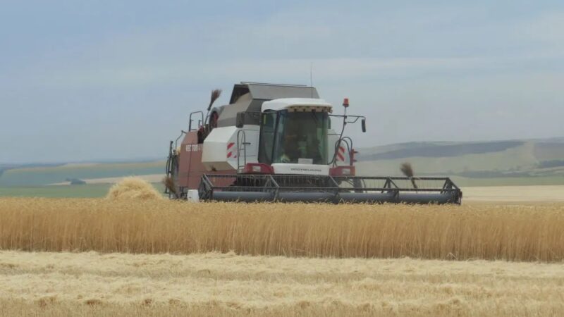 В бюджете Оренбургской области на 2026 год увеличат средства на поддержку малого агробизнеса