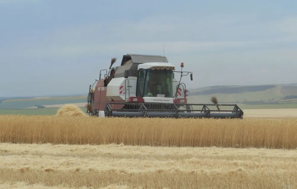 В бюджете Оренбургской области на 2026 год увеличат средства на поддержку малого агробизнеса