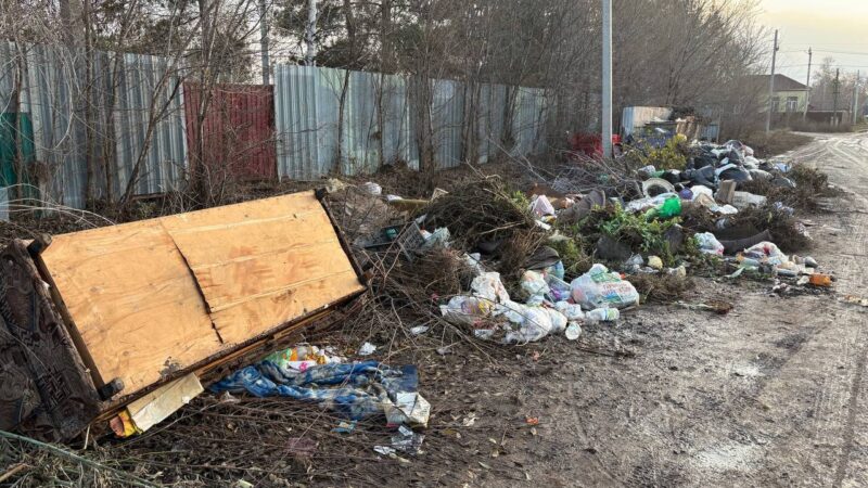 В ходе прямой линии Евгений Солнцев ответил на вопросы об организации вывоза твердых коммунальных отходов