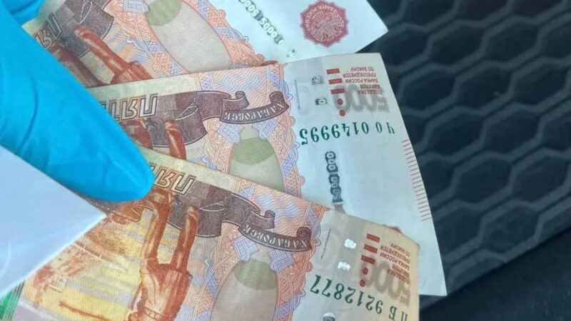 В Сорочинске молодой водитель предстанет перед судом за поддельные права и попытку подкупа инспектора ДПС