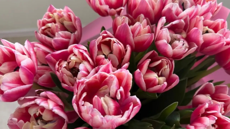 Евгений Солнцев поздравил оренбурженок с Международным женским днём!