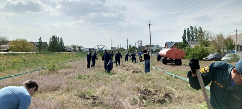 Илекский сельсовет. Убили женщину Илекский район. Акция по высадке саженцев деревьев. Илекский район-приграничные сёла.