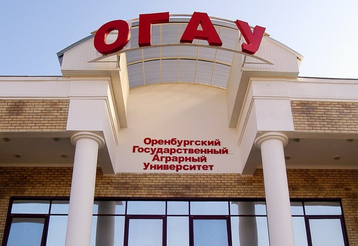 Орелгау. ОГАУ Оренбург. Оренбургский институт ОГАУ. Главный корпус ОГАУ Оренбург. Аграрный университет Оренбург официальный сайт.